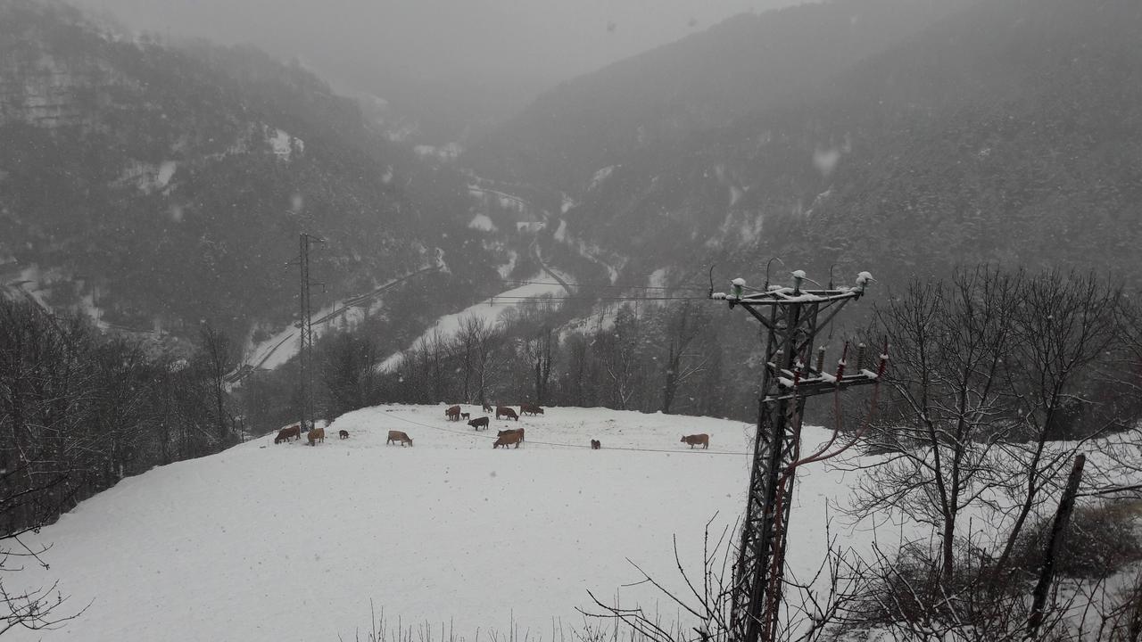 Rural L'Ortiga Blanca Hotel Queralbs Bagian luar foto