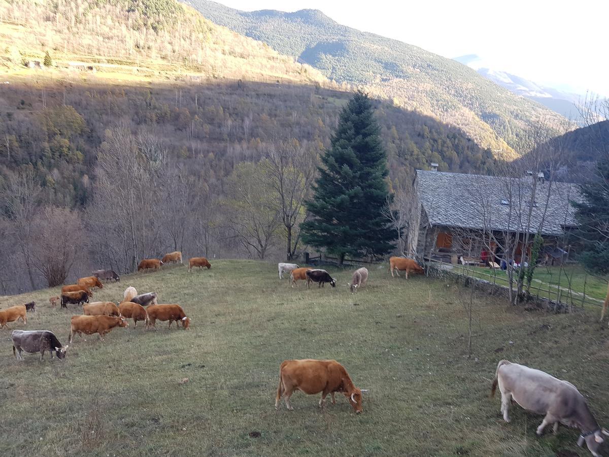 Rural L'Ortiga Blanca Hotel Queralbs Bagian luar foto